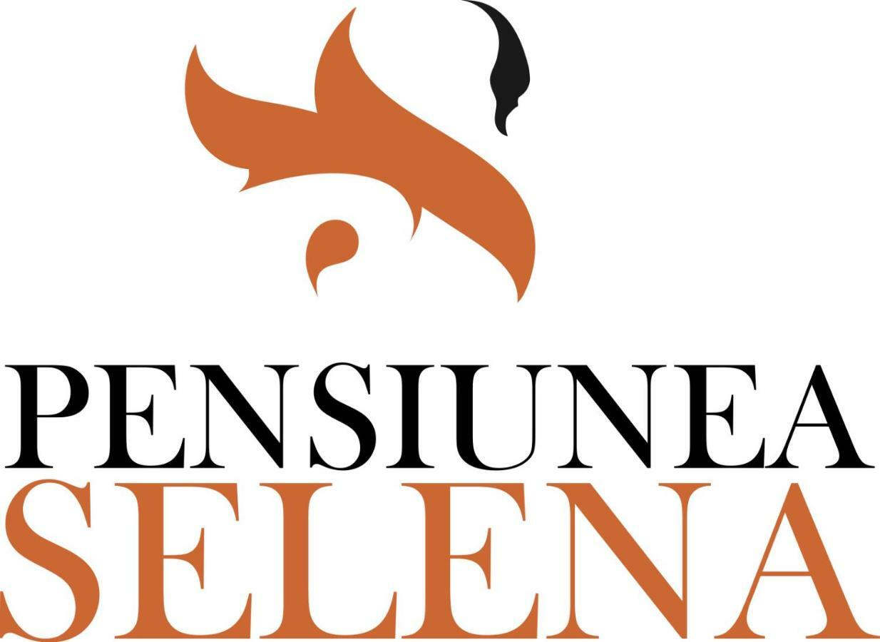 Vişeu de Sus Pensiunea Selena المظهر الخارجي الصورة